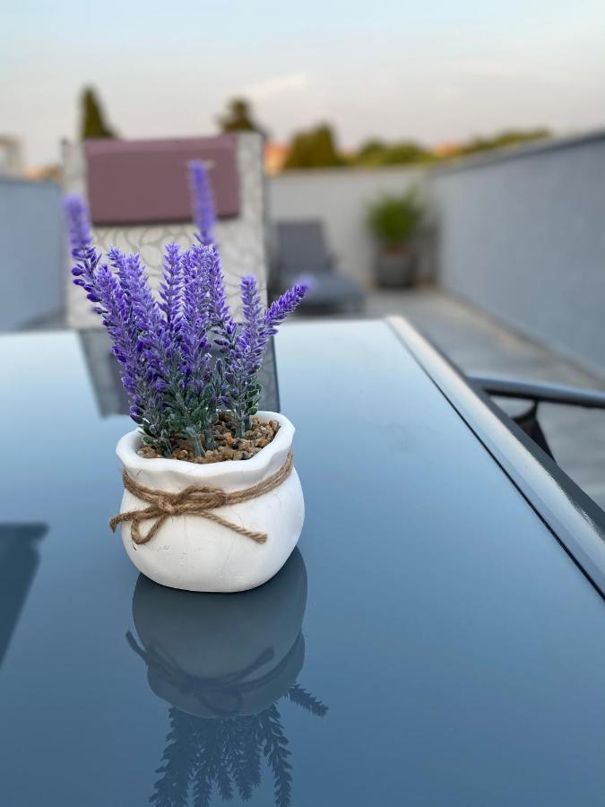 Villa Maleo Medulin Zewnętrze zdjęcie